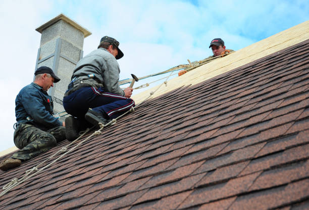 Best New Roof Installation  in Culloden, WV